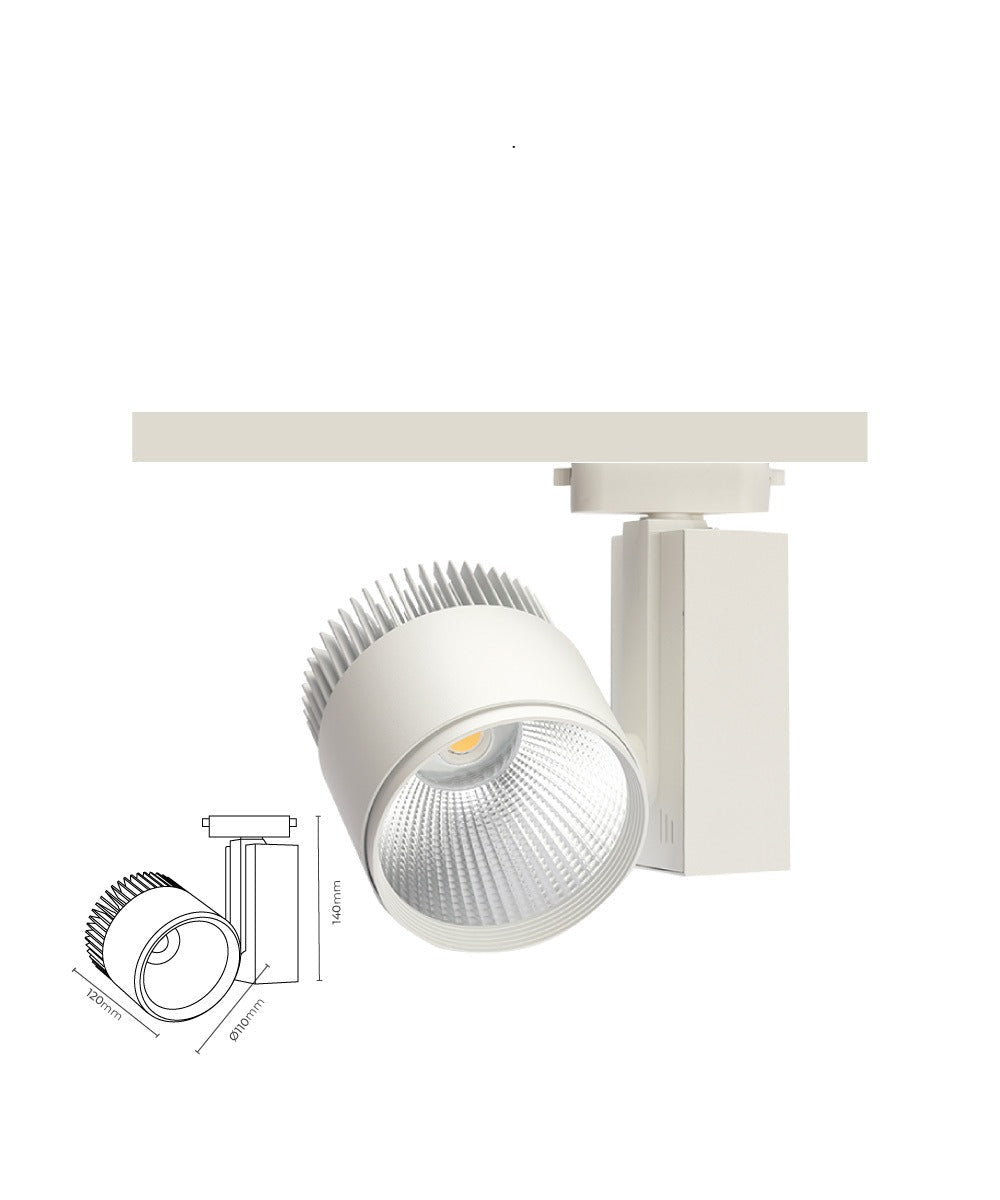 Triyak Dimli Ray Spot TEN2036