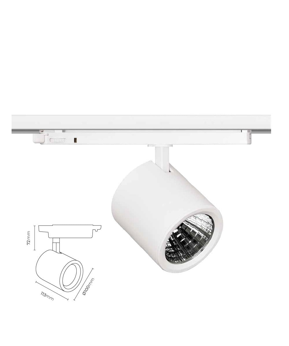 Dali Dimli Ray Spot TEN2029