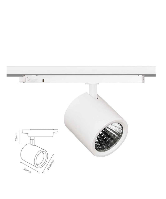 Dali Dimli Ray Spot TEN2029