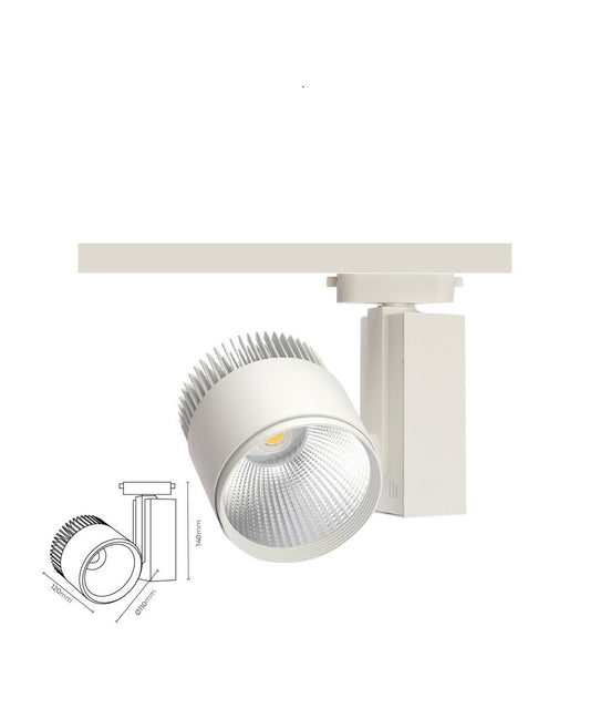 Triyak Dimli Ray Spot TEN2036