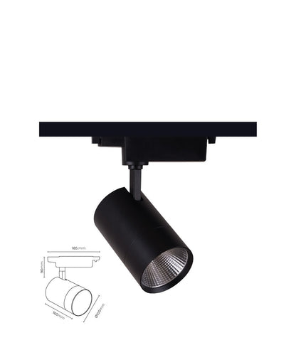 Led Ray Spot 40 Watt TEN2048
